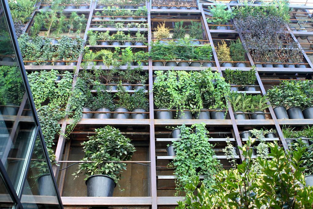 Iota Hotel Тбилиси Екстериор снимка A green wall in a building
